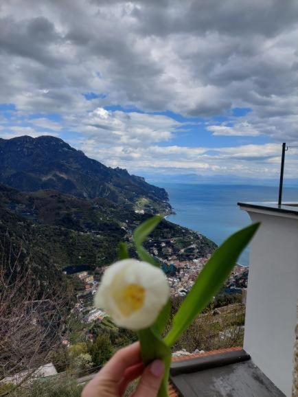 Ferienwohnung Il Sogno Di Wagner Ravello Exterior foto